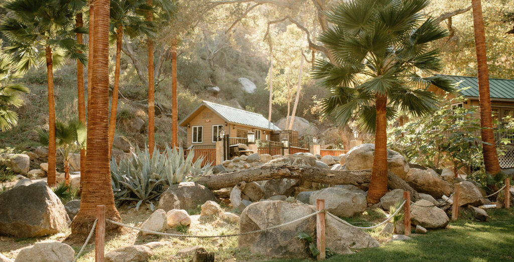 Cabins on the treeline