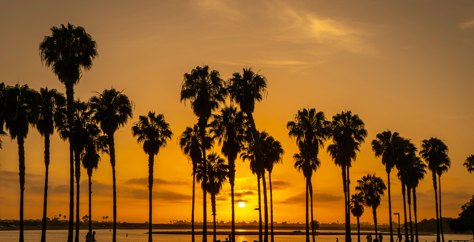 Silhouettes of palm trees in front of a San Diego sunset